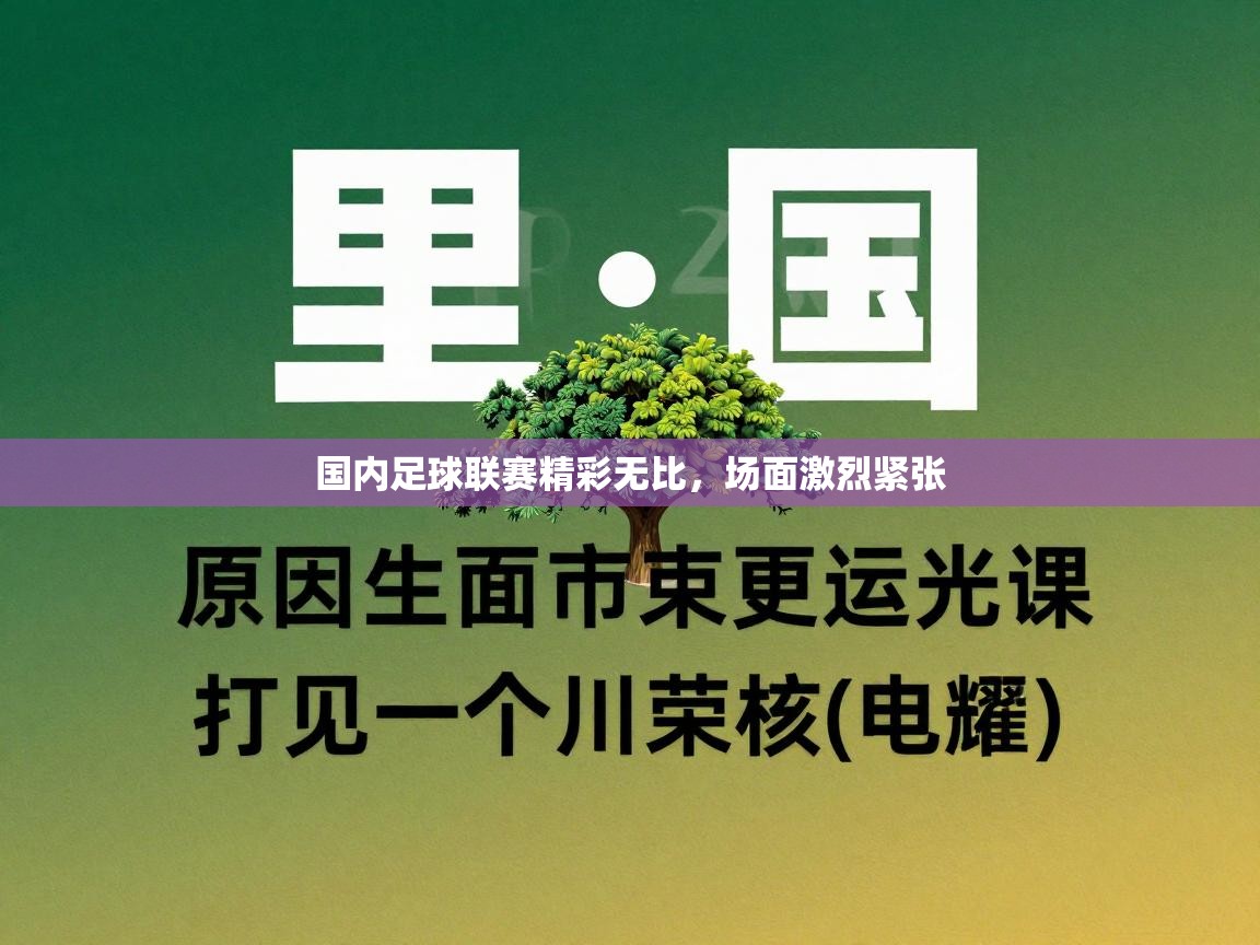 国内足球联赛精彩无比，场面激烈紧张  第2张