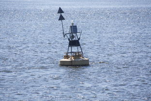 九游官网入口活动-中方蝶泳入水角度更锐利?图解数据分析,中国蝶泳厉害吗 第1张